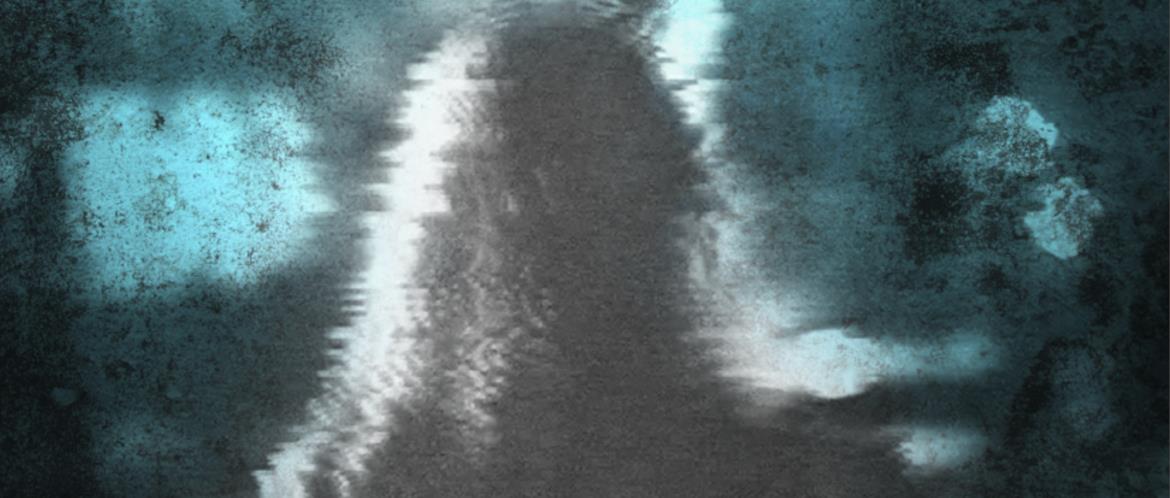 The Detective Society